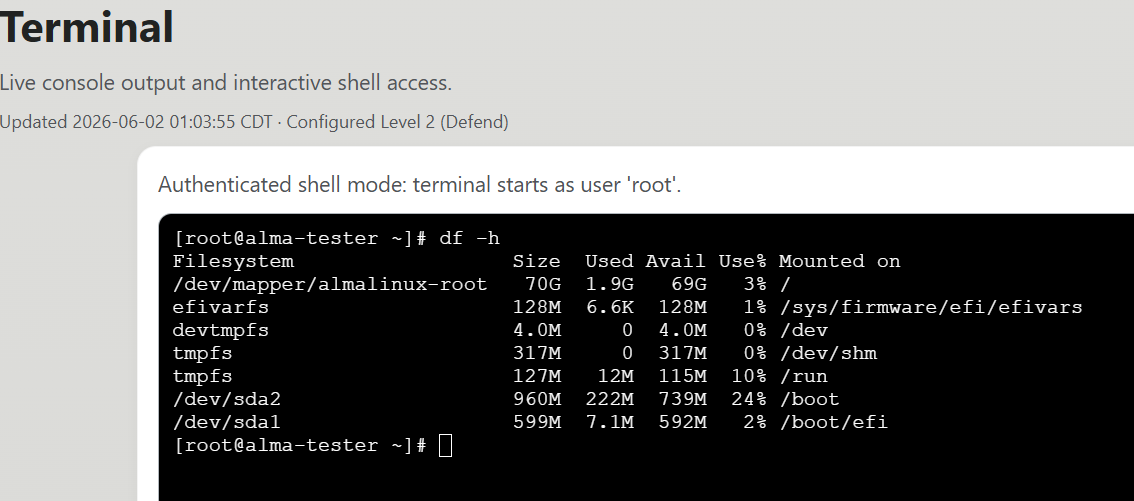 IronGargoyle terminal showing df -h output